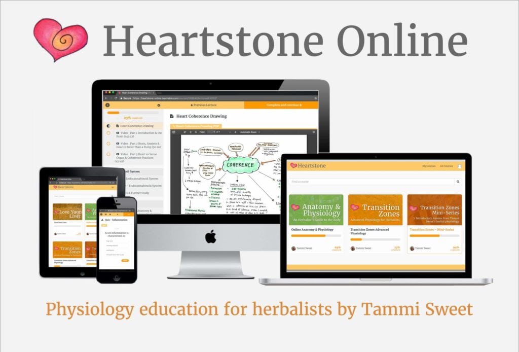 Heartstone Online